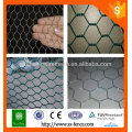 Malha de arame hexagonal / malha de arame hexagonal